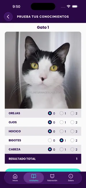 Feline Grimace Scale iPhone screenshot 3