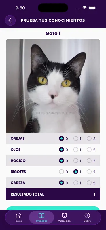 Feline Grimace Scale screenshot 3 of 5