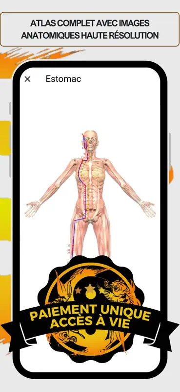 Assistant Acupuncture screenshot 2 of 8