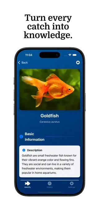 Fish Identifier - FinFind screenshot 4