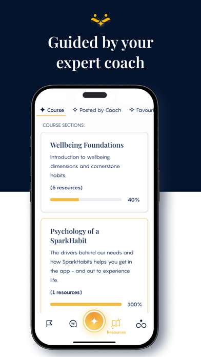 SparkHabits Screenshot