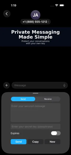 Cryptic Send screenshot 1