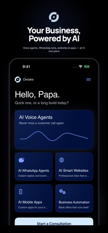Owlake: AI Business Advisor iPhone screenshot