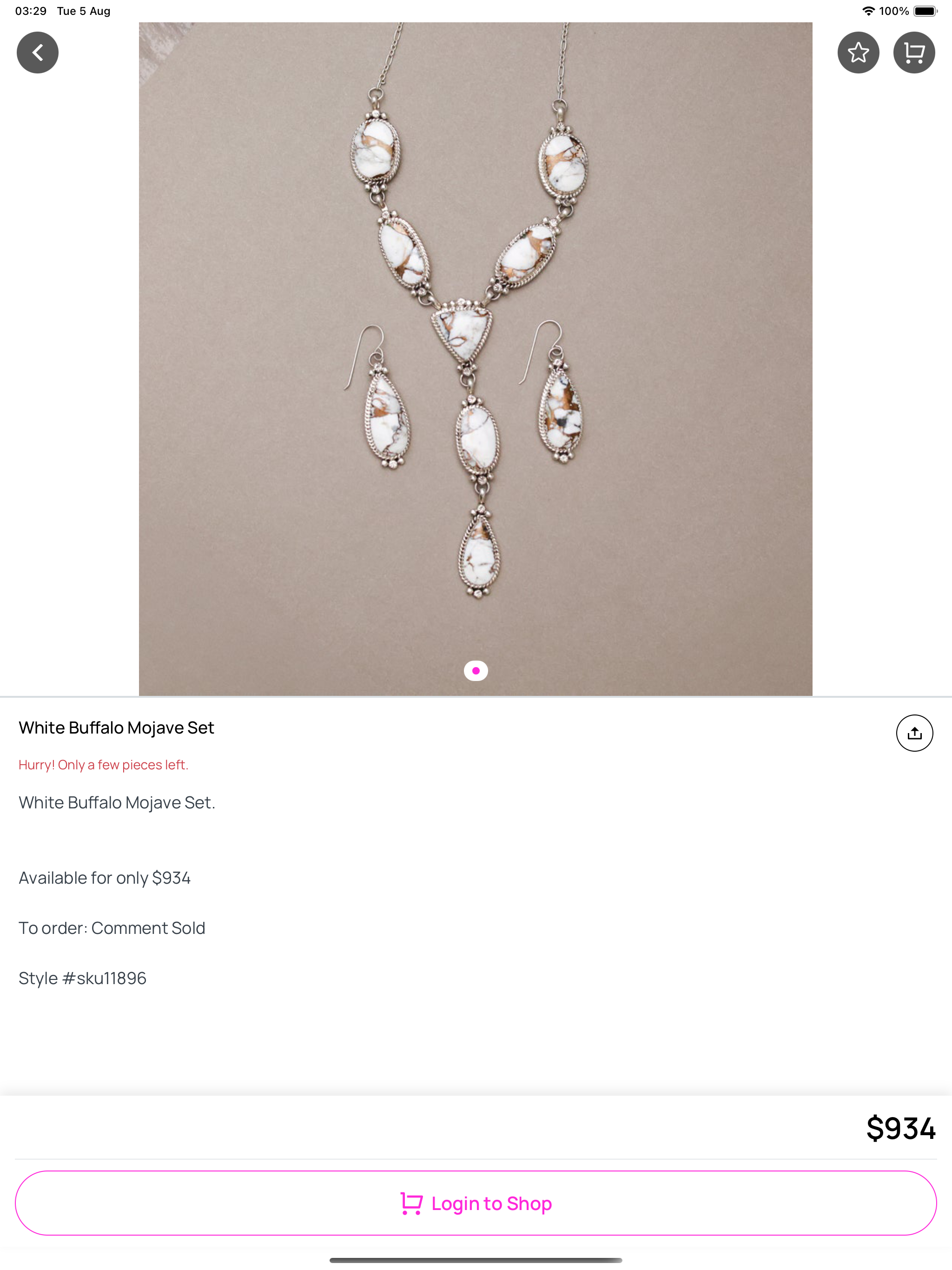 The Shine Shop screenshot 8