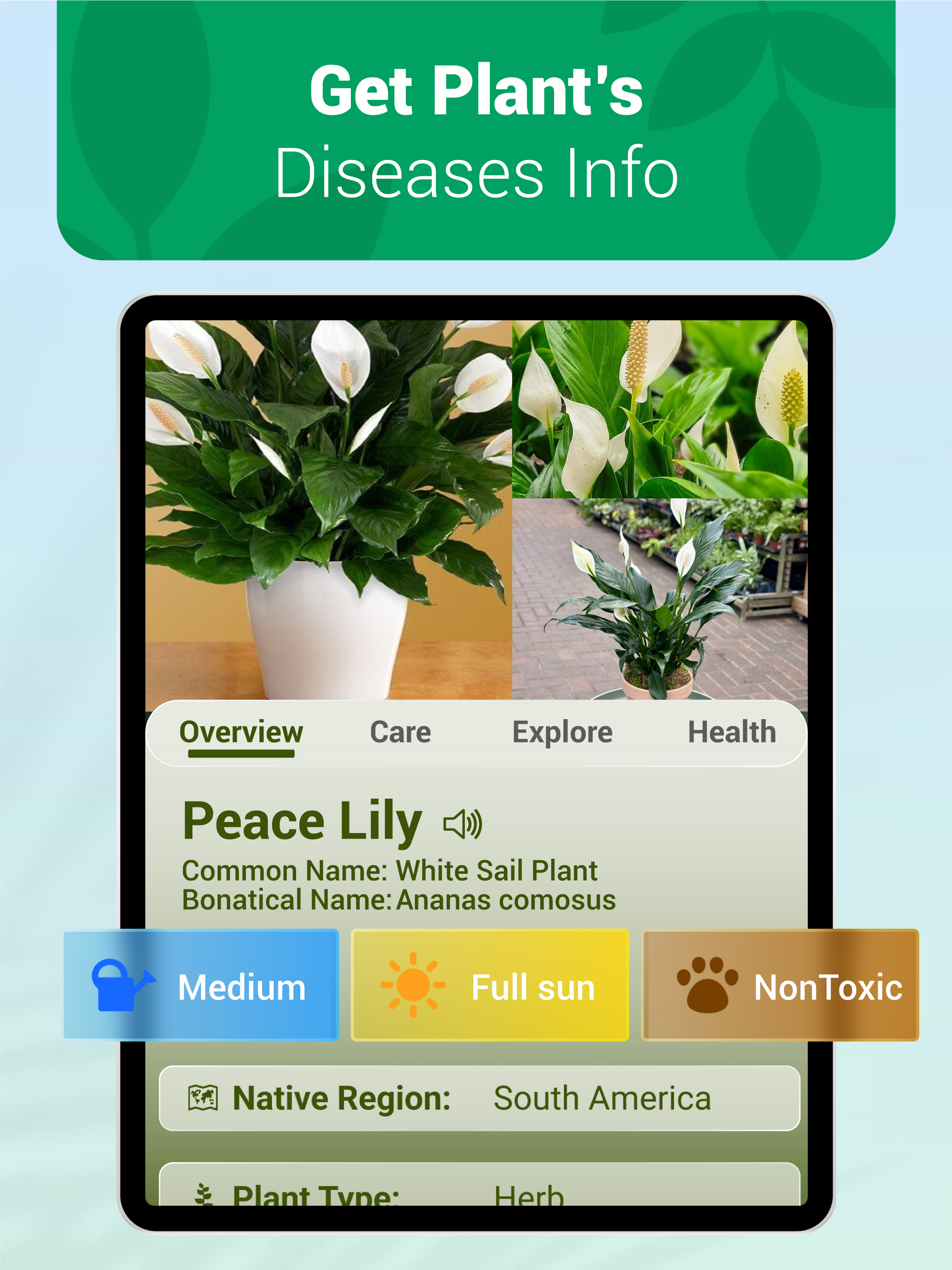 Picture Plant: Identify & Care