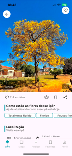 Ipês screenshot 2