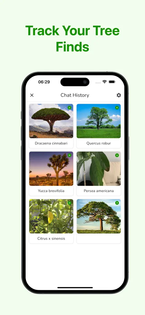 Tree Identifier: Wood & Plant - Reference App | MWM