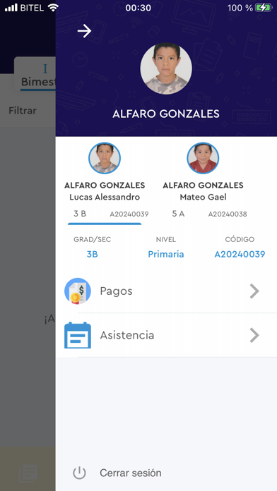 Colegio Virgen de Guadalupe Screenshot