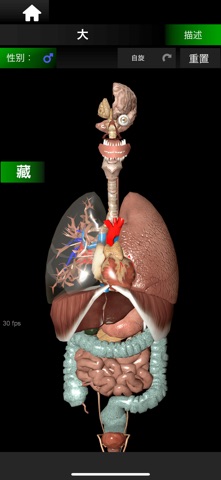 ORGANS 3D (ANATOMY) screenshot