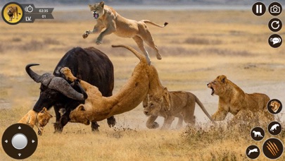 Lion Simulator Animal Games 3D Screenshot