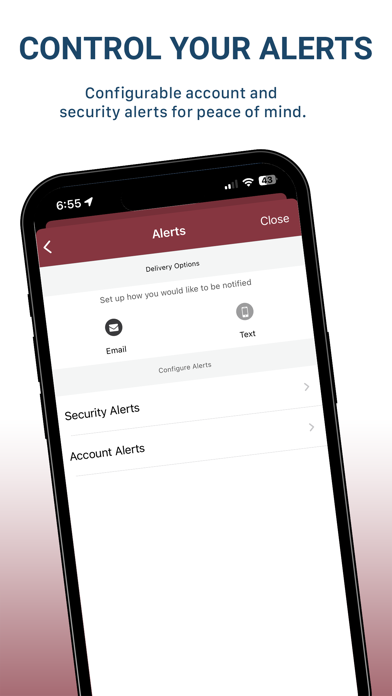 Senath State Bank Screenshot