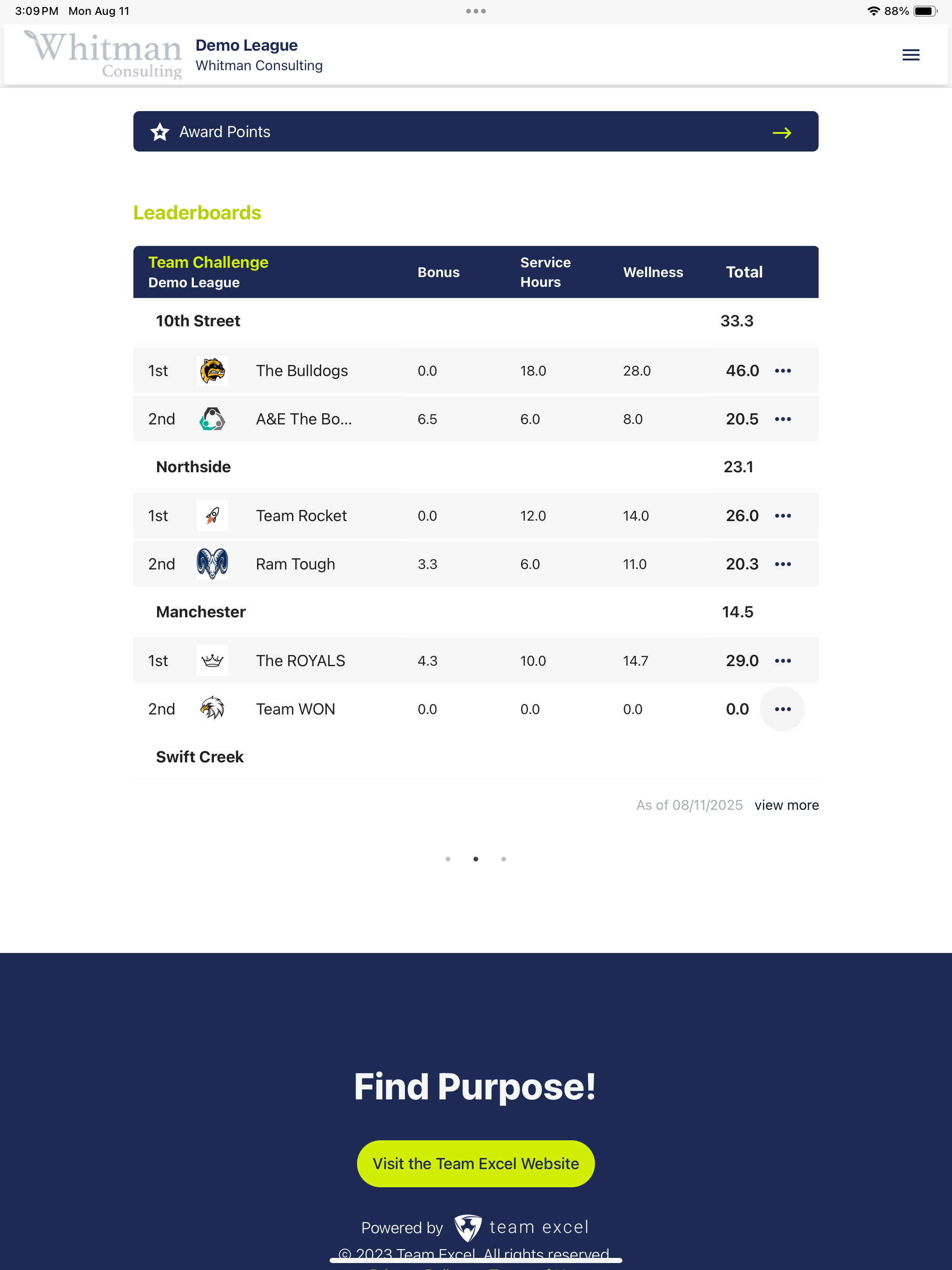 Team Excel screenshot 6