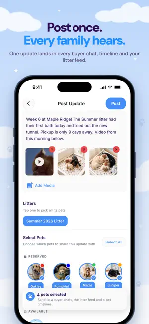 Pawgress: Every Paw Print screenshot 1