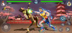 Karate Legends: Fighting Game screenshot #2 for iPhone