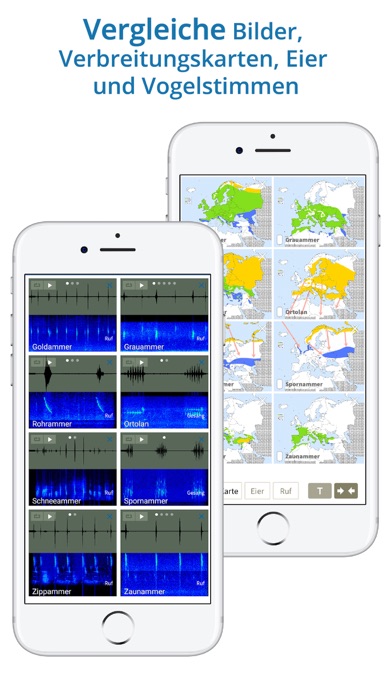 NABU Vogelwelt Screenshot