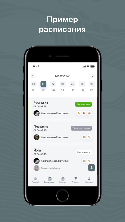 Академия льда