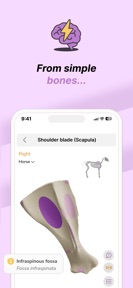 Vetflow - Learn Anatomy screenshot