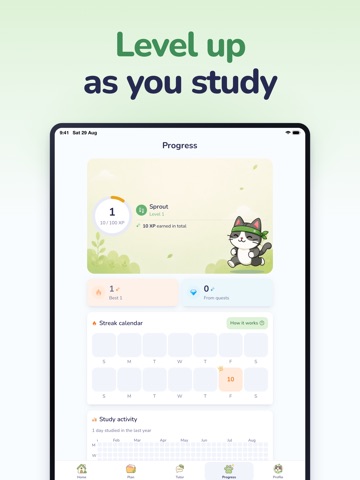 Meomo AI Flashcard & Exam Prep iPad screenshot