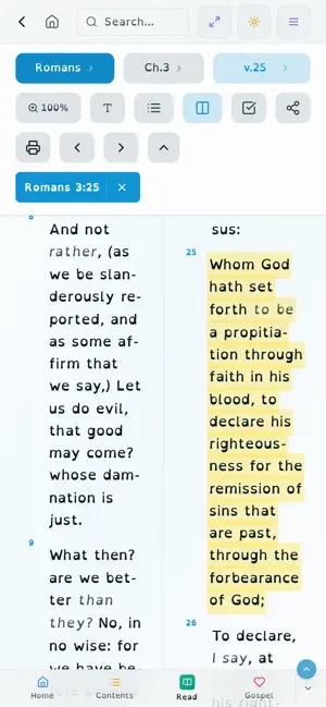 KJB Reader screenshot 2