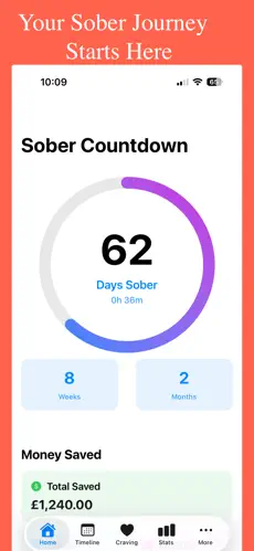 SoberDay Screenshot 1