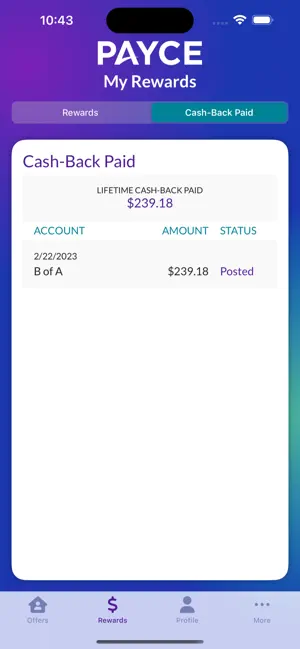 Payce screenshot 4