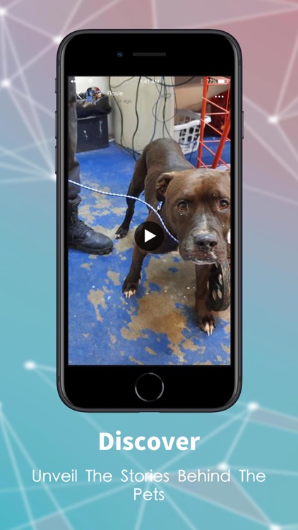 DoggieDen-For the love of dogs screenshot-3