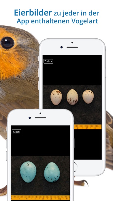 NABU Vogelwelt Screenshot