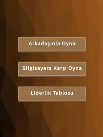 Ceng Game iPad screenshot