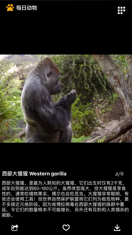 Daily Animal screenshot 2 of 6
