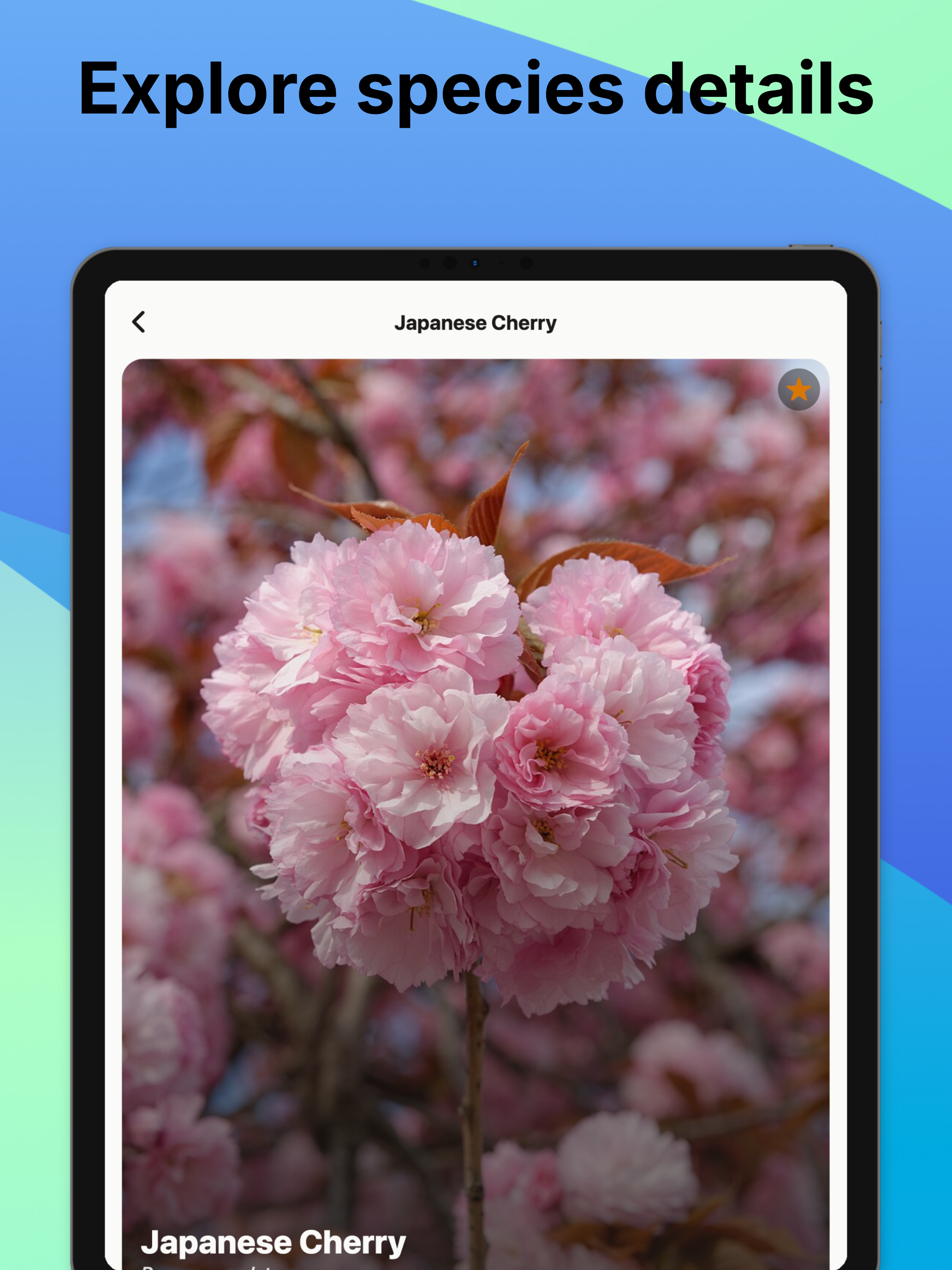 Tree Identifier・Plant ID screenshot 8