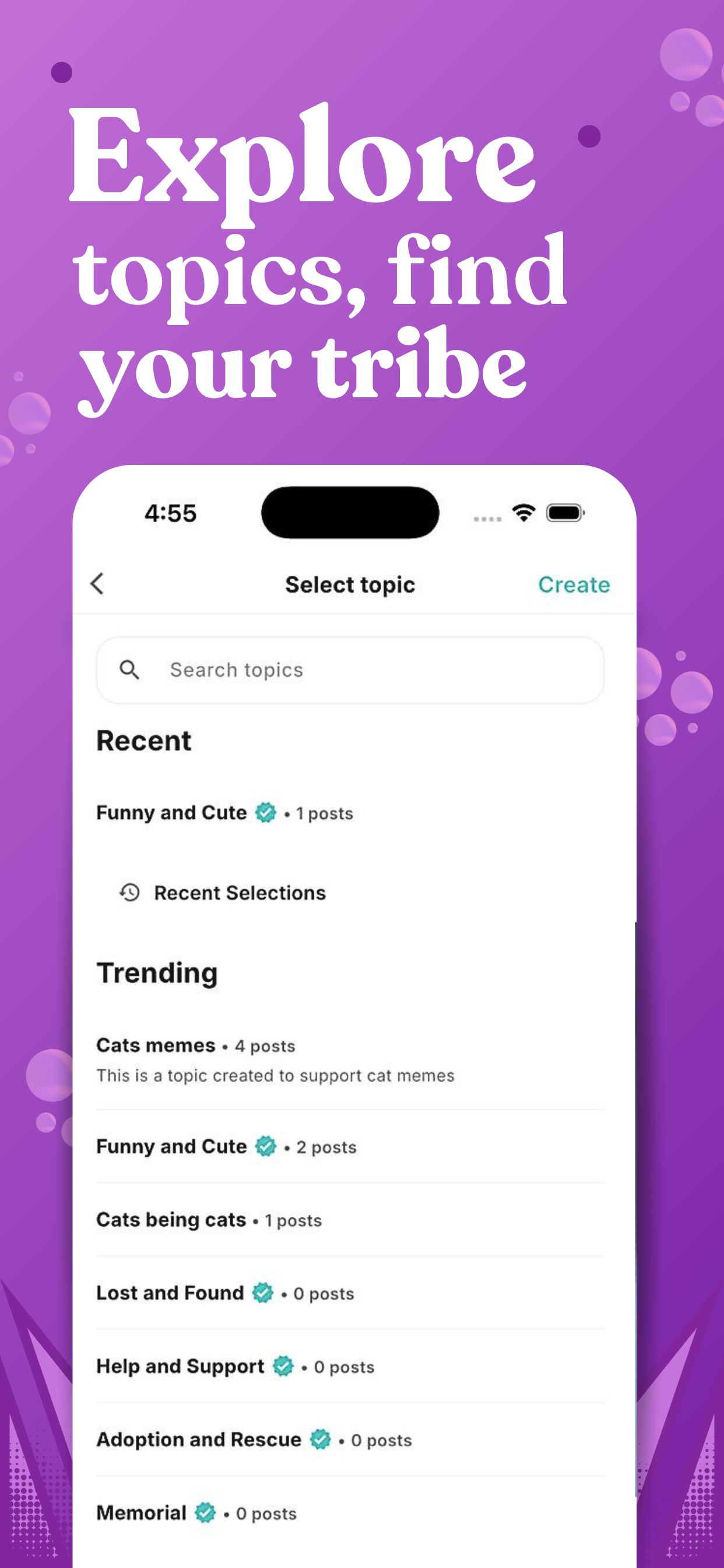 Pocket Kitty: Pet Social App