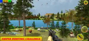 Chicken Shoot Safari Hunting screenshot #4 for iPhone