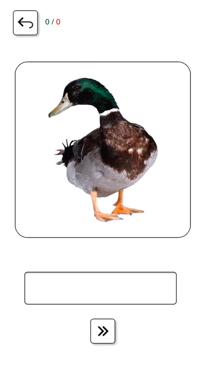 Learn and play Ukrainian + screenshot-4