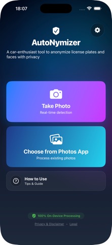 AutoNymizer screenshot