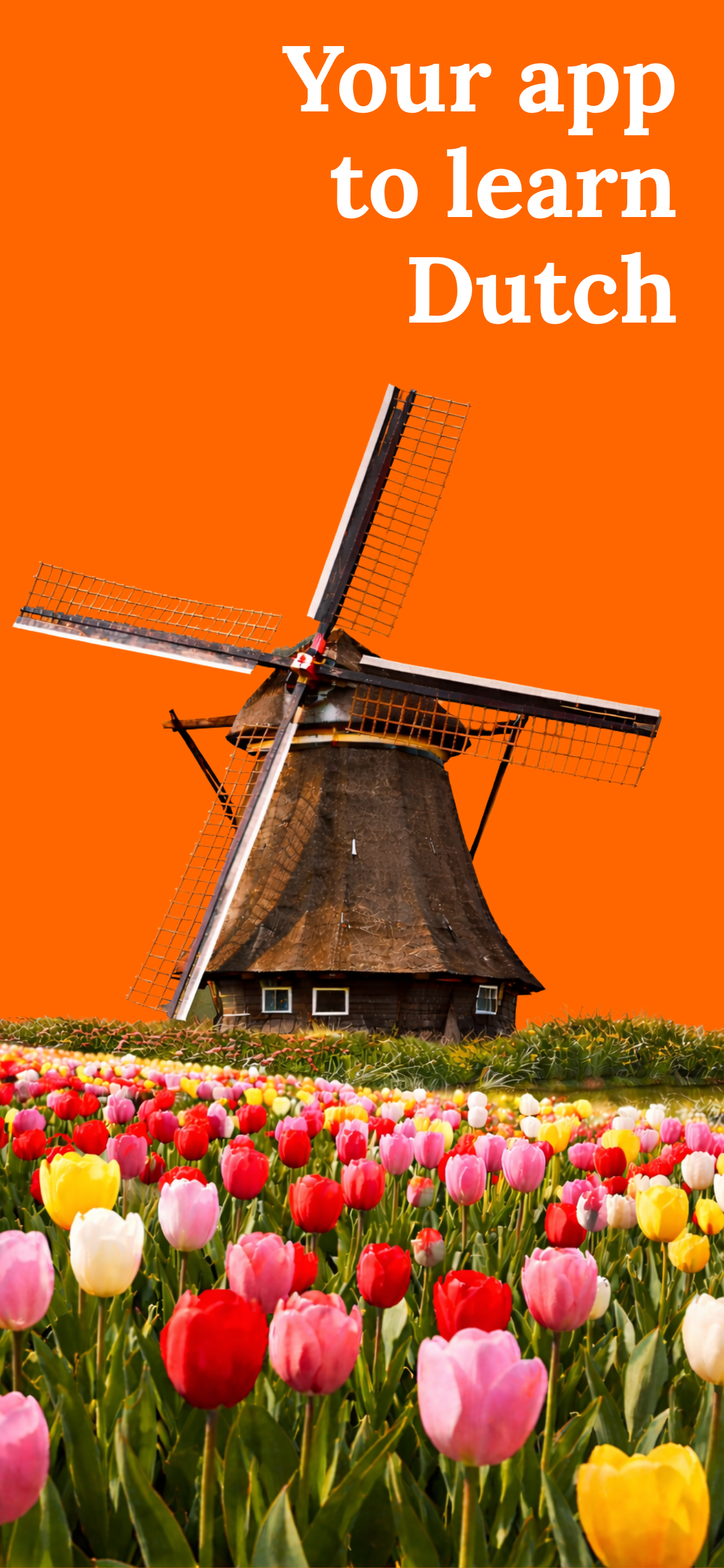 Learn Dutch (Beginners)