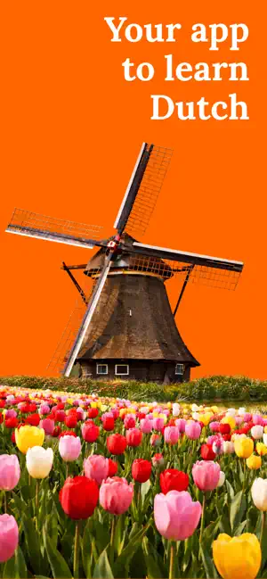 Learn Dutch (Beginners) screenshot 1