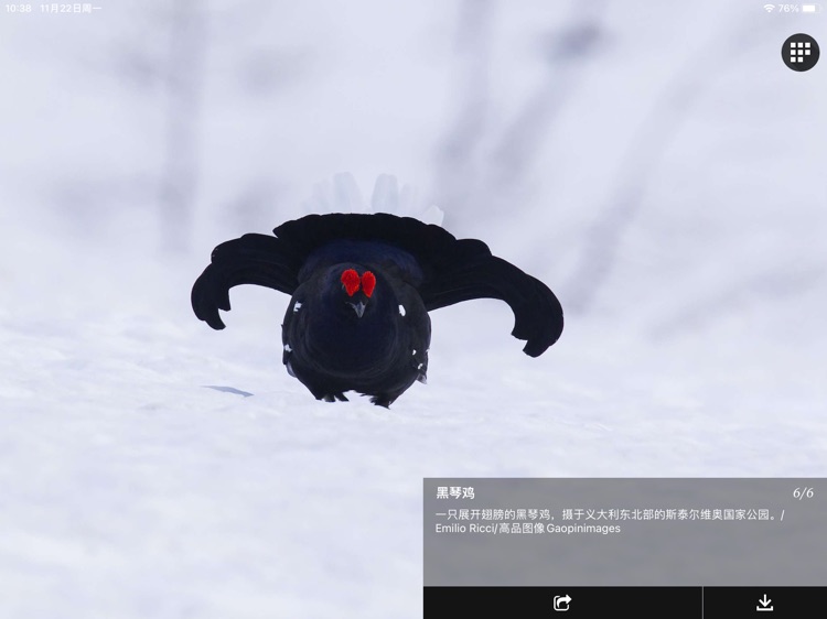 每日精选HD-天文地理人文美图、壁纸 screenshot-9