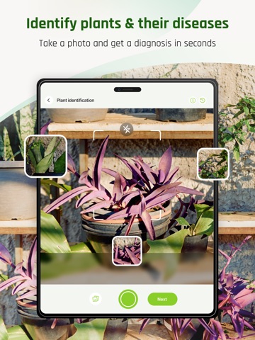 PLANTIS: Plant Identifier App iPad screenshot
