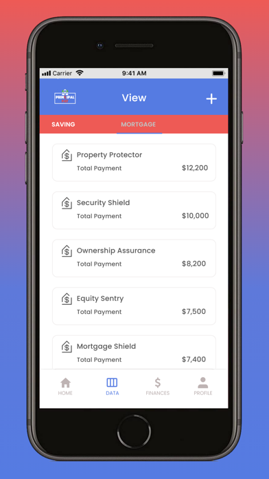 Principal Pay Screenshot