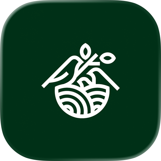 MealCondo Partner: Cook & Earn