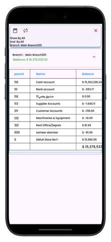 Your Business Pro Screenshot 9 of 10