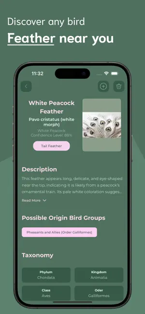 Feather Identifier - FI screenshot 3