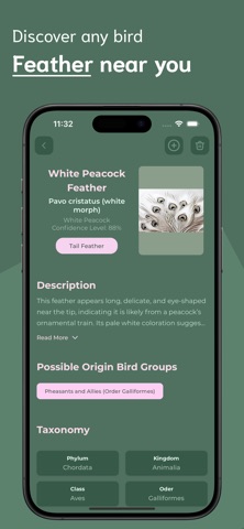Feather Identifier - FI screenshot