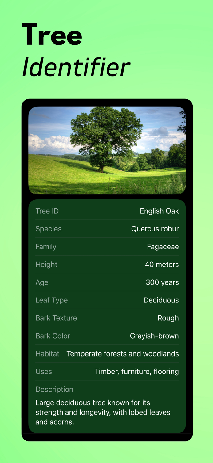 Tree Identifier AI TreeIQ