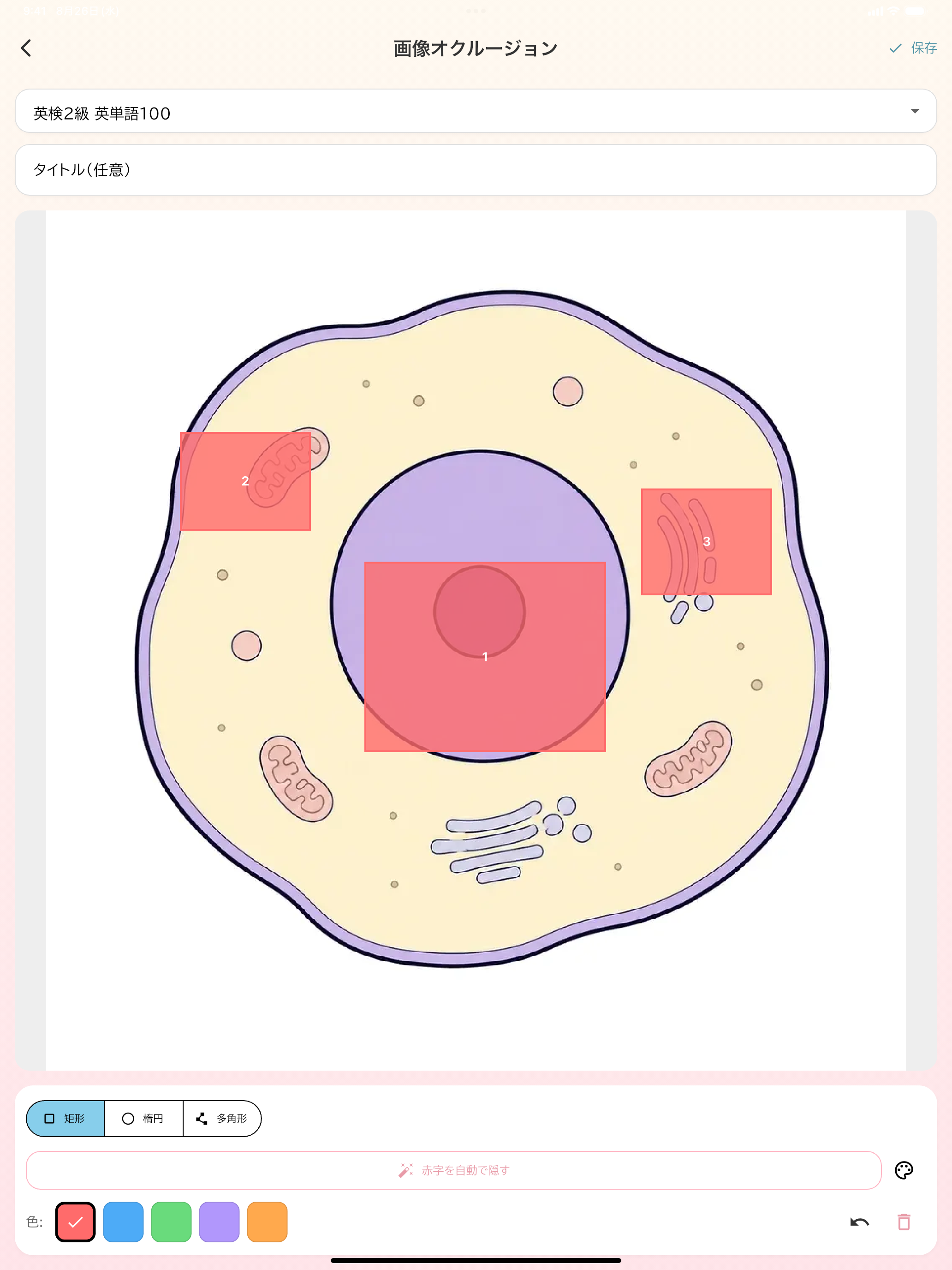 ANCHOKO Flashcards& ImageStudy screenshot 12