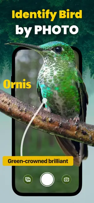 Bird Sound Identifier - Ornis screenshot 1