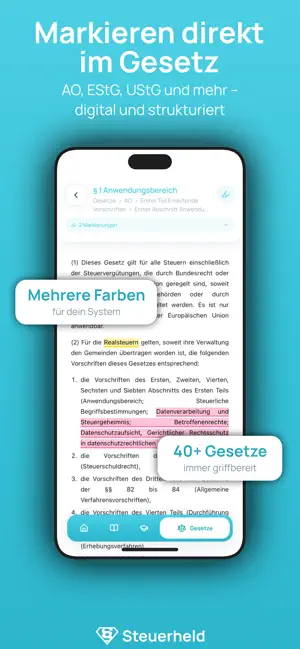 Steuerheld screenshot 3