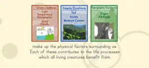 Interaction of Living Things screenshot 3
