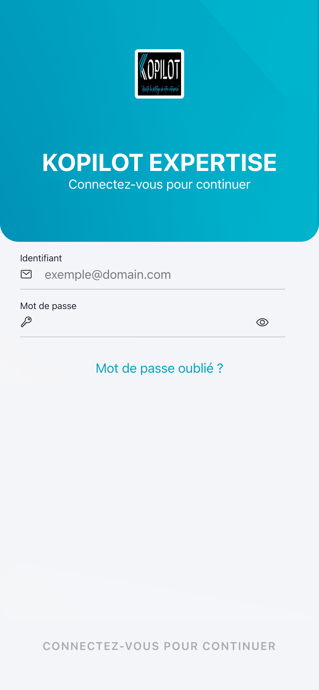 KOPILOT EXPERTISE screenshot 2