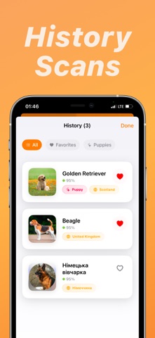 Dog Breed Identifier: Ayk screenshot